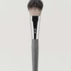 et al. - POWDER BRUSH