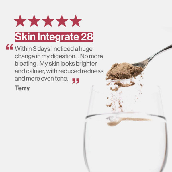 Skin Integrate 28 - Biome Powder - Image 3