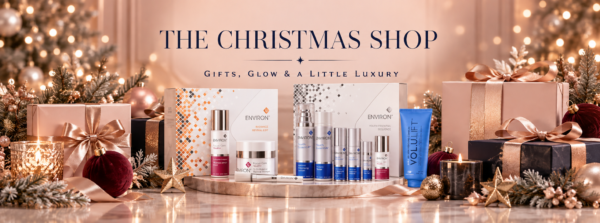 The Christmas Shop